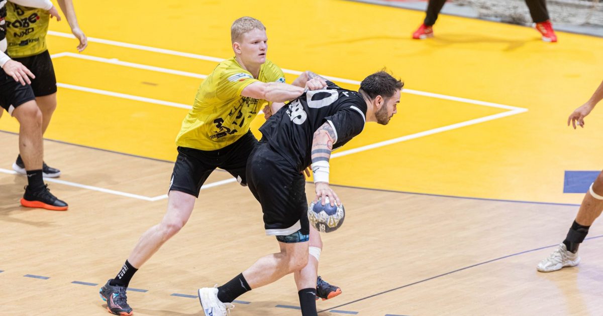 Endijs Šnepsts_HC Zubri (1)