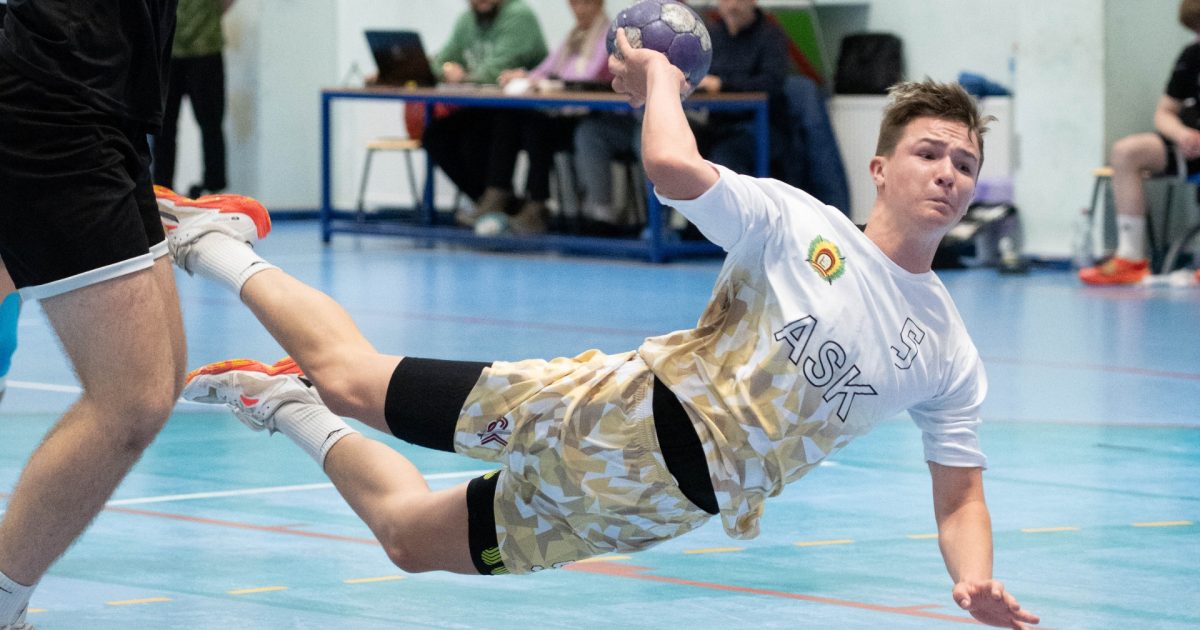 Mājaslapas raksta titulattēls