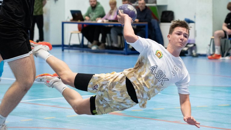 Mājaslapas raksta titulattēls