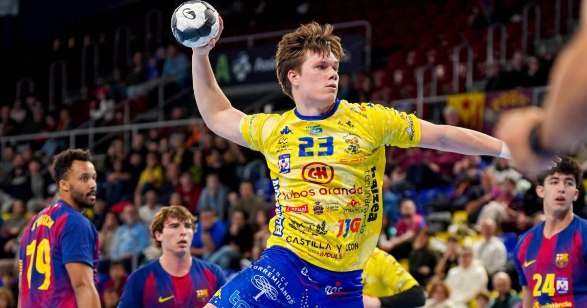 Rogonovs_Villa de Aranda_04.03.26.